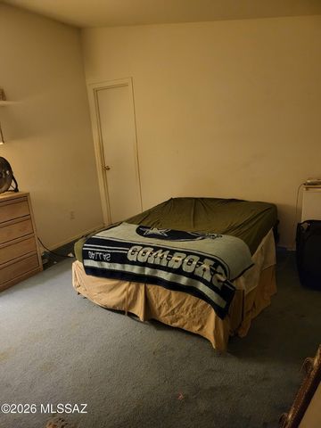 2426 W Sellers Ranch Road, San Simon, AZ 85632