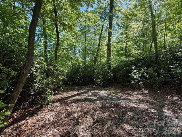 10C Reserve Road, Pisgah Forest, NC 28768