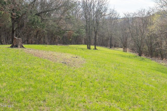 449 Chuckey Overlook, Chuckey, TN 37641