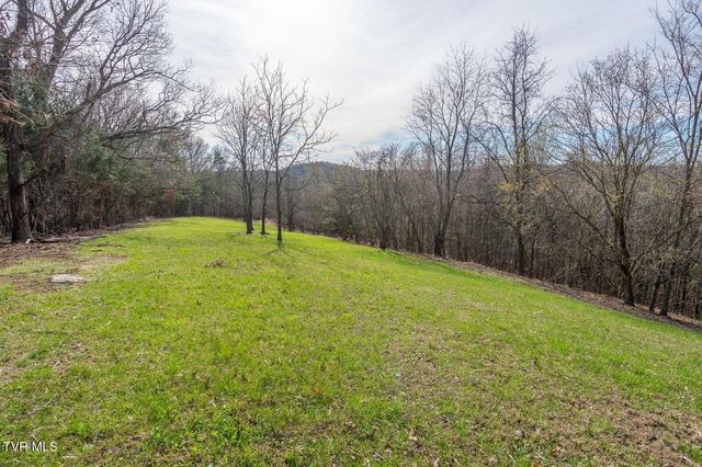 449 Chuckey Overlook, Chuckey, TN 37641