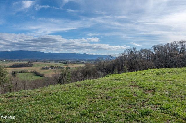 449 Chuckey Overlook, Chuckey, TN 37641
