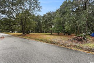 TBD Estate Ln., Georgetown, SC 29440