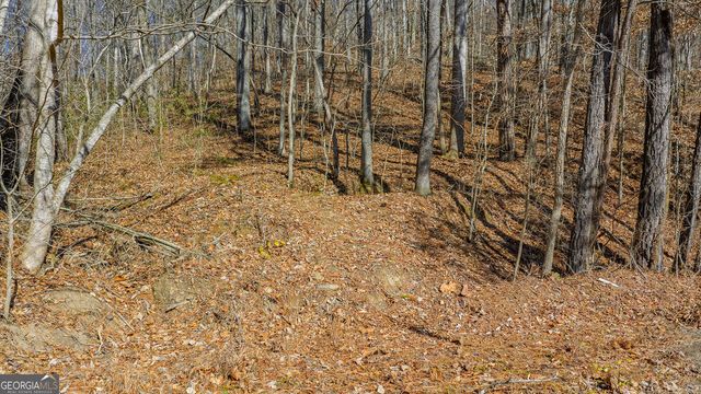 0 Rambling Road, Fairmount, GA 30139