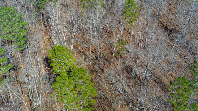 0 Rambling Road, Fairmount, GA 30139