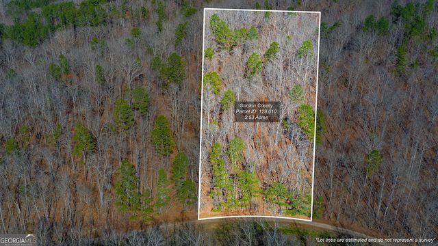 0 Rambling Road, Fairmount, GA 30139