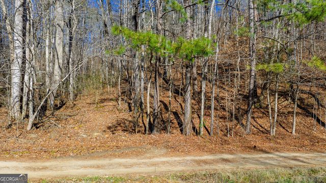 0 Rambling Road, Fairmount, GA 30139