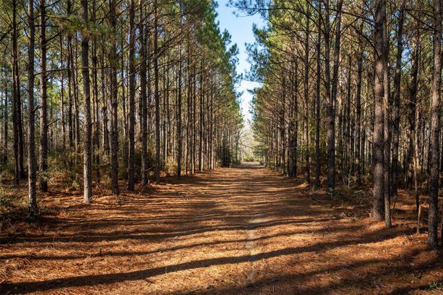 312 Us Highway 190 W, Woodville, TX 75979