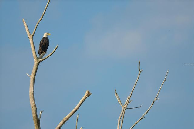 4502 BAHAMA DRIVE, Hernando Beach, FL 34607