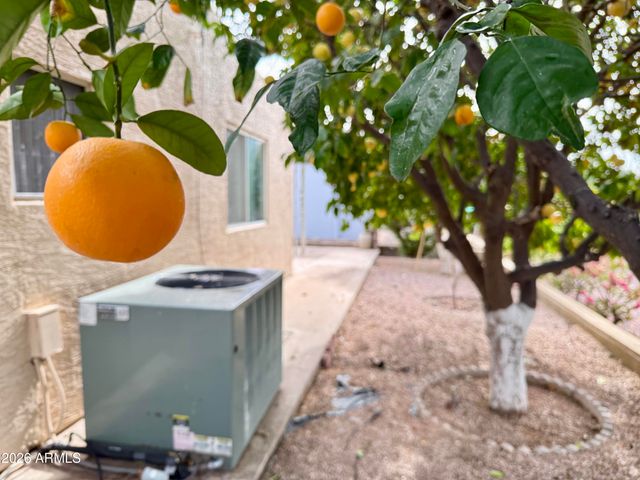 2710 N Wright Way Way, Mesa, AZ 85215