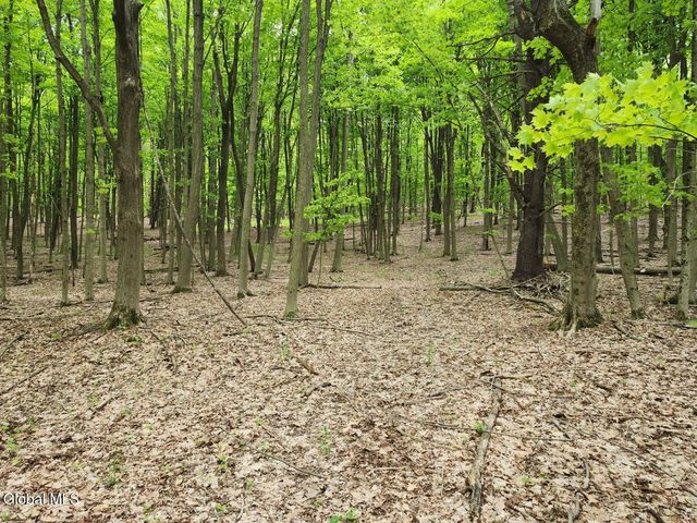 470 Hoag Road, Easton, NY 12185