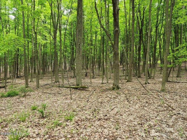 470 Hoag Road, Easton, NY 12185