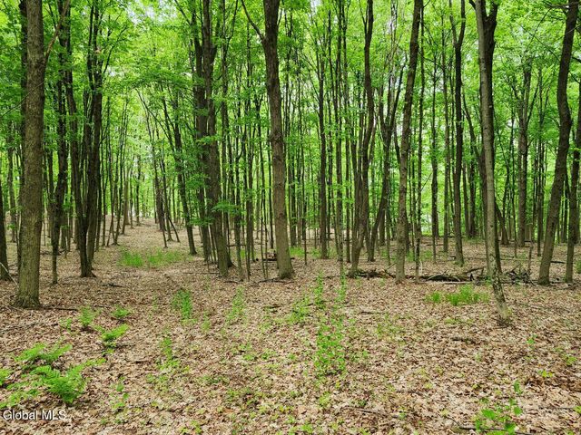 470 Hoag Road, Easton, NY 12185