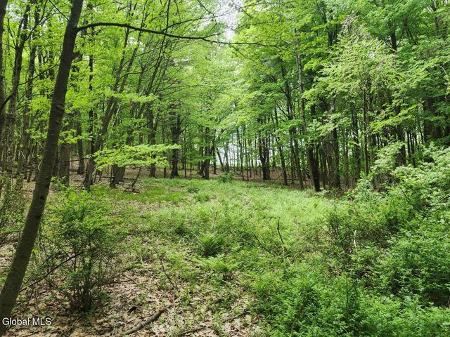 470 Hoag Road, Easton, NY 12185