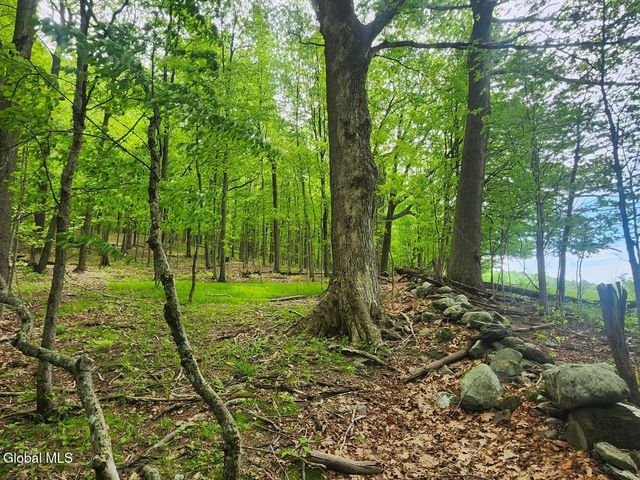 470 Hoag Road, Easton, NY 12185
