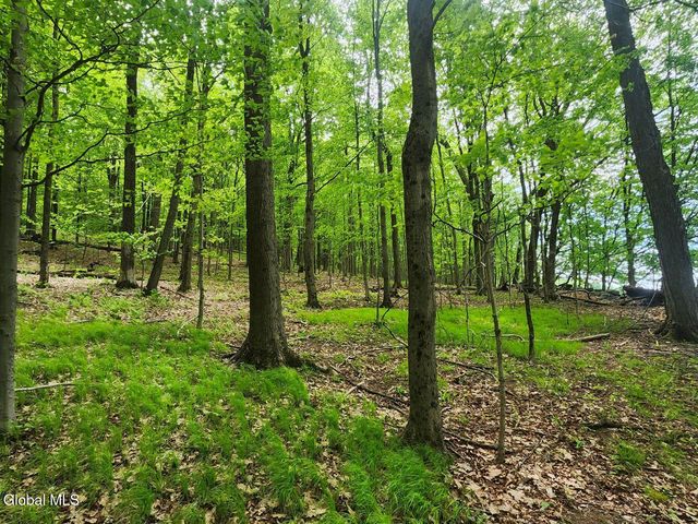 470 Hoag Road, Easton, NY 12185