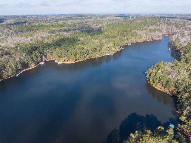 1225 Rocky Shoals Drive, Midland, GA 31820