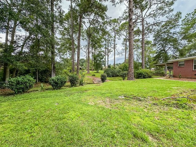 305 N Hillcrest St, Geneva, AL 36340