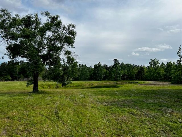 17926 Country Place Drive, Conroe, TX 77302