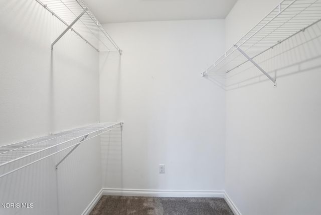 7233 Turncreek Drive, Toledo, OH 43615