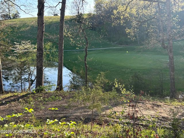 LOT 8 BIRDIE HILL ROAD, Holts Summit, MO 65043