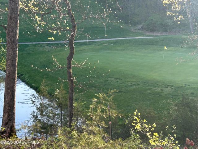 LOT 8 BIRDIE HILL ROAD, Holts Summit, MO 65043