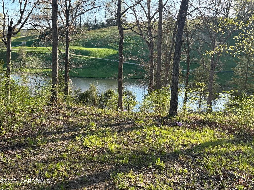 LOT 8 BIRDIE HILL ROAD, Holts Summit, MO 65043
