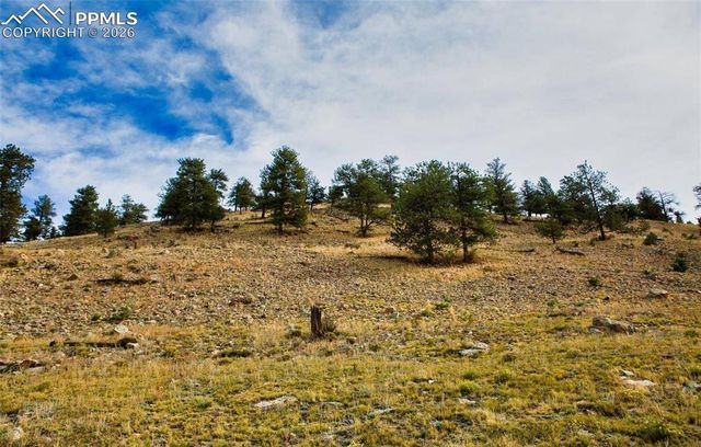 1888 Lakeview Drive, Lake George, CO 80827