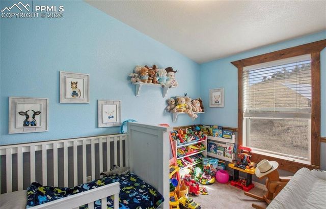 1888 Lakeview Drive, Lake George, CO 80827