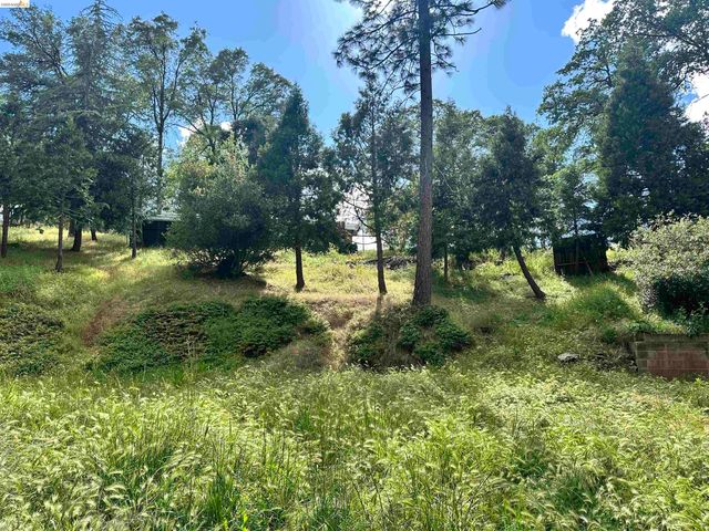 20231 Hidden Acres Rd, Sonora, CA 95370