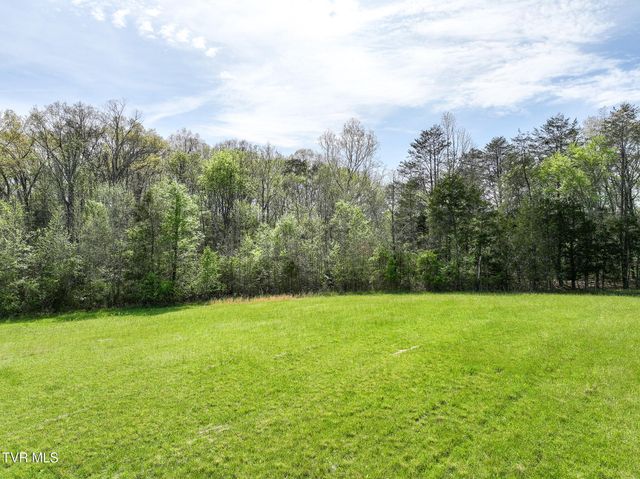 815 Flatwoods Road, Mosheim, TN 37818