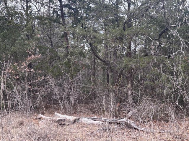 TBD Pearson RD, Cedar Creek, TX 78616