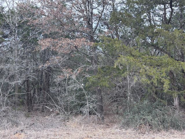 TBD Pearson RD, Cedar Creek, TX 78616