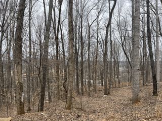 147 Chestnut Hill, Livingston, TN 38570