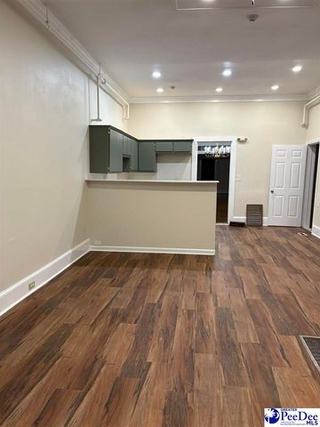 3339 Meadors Rd, Florence, SC 29501