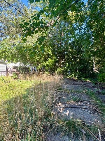 18066 Hull Street, Detroit, MI 48203