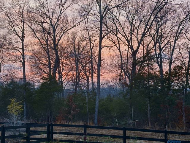 536 Oakvale Ln, Mount Juliet, TN 37122