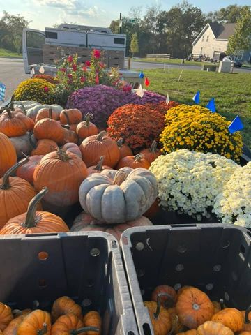 536 Oakvale Ln, Mount Juliet, TN 37122