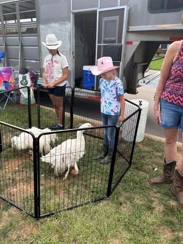 536 Oakvale Ln, Mount Juliet, TN 37122