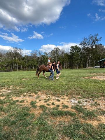 536 Oakvale Ln, Mount Juliet, TN 37122