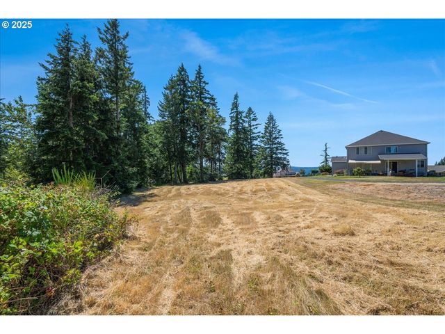 165 SATURN Ave, Woodland, WA 98674