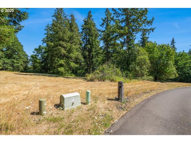 165 SATURN Ave, Woodland, WA 98674
