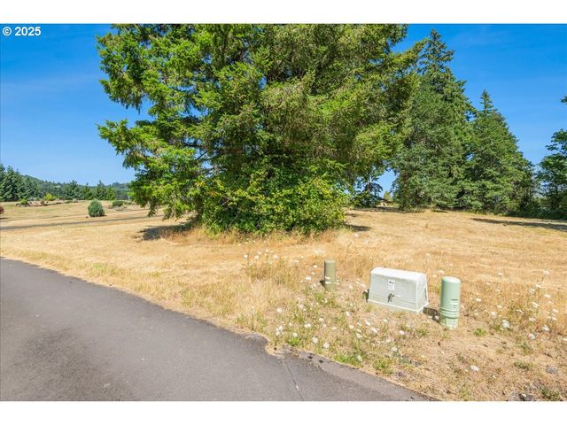 165 SATURN Ave, Woodland, WA 98674