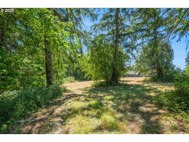 165 SATURN Ave, Woodland, WA 98674