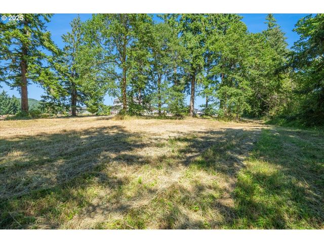 165 SATURN Ave, Woodland, WA 98674