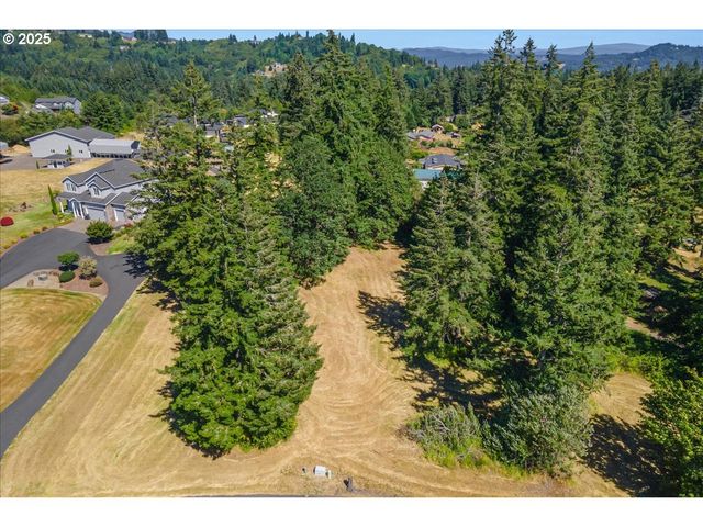 165 SATURN Ave, Woodland, WA 98674