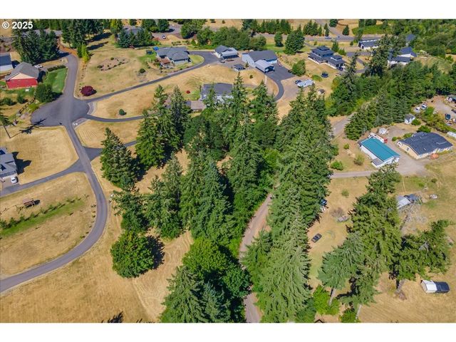 165 SATURN Ave, Woodland, WA 98674