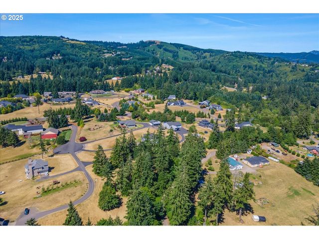 165 SATURN Ave, Woodland, WA 98674