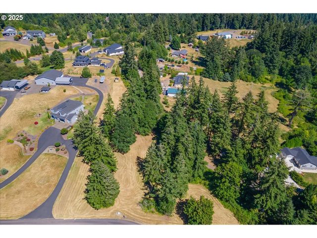 165 SATURN Ave, Woodland, WA 98674