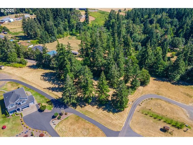 165 SATURN Ave, Woodland, WA 98674
