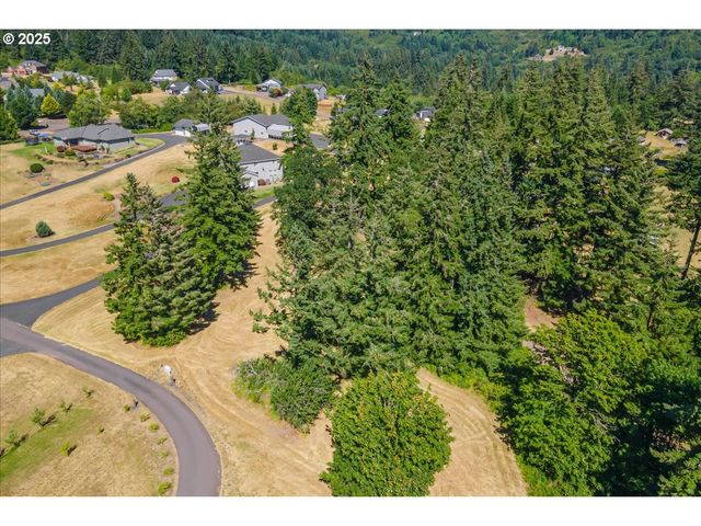 165 SATURN Ave, Woodland, WA 98674